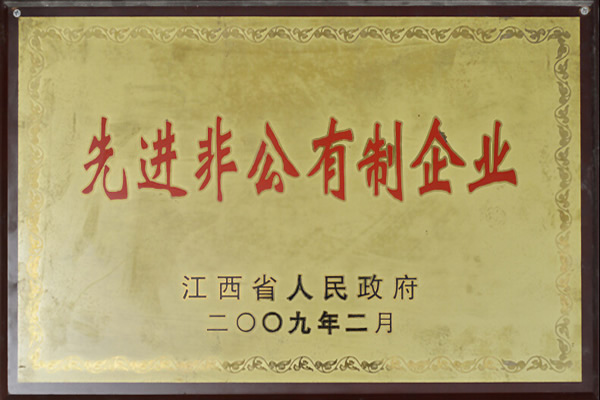 先進非公有制企業(yè)