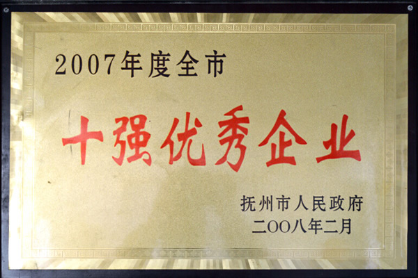 十強優(yōu)秀企業(yè)